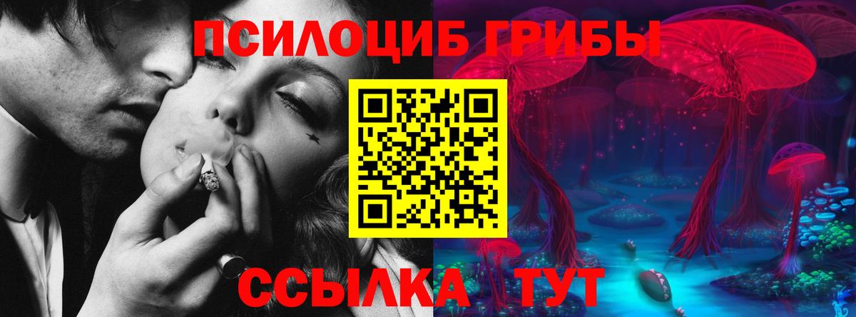 Псилоцибиновые грибы Cubensis  Вход с VPN  Чита 