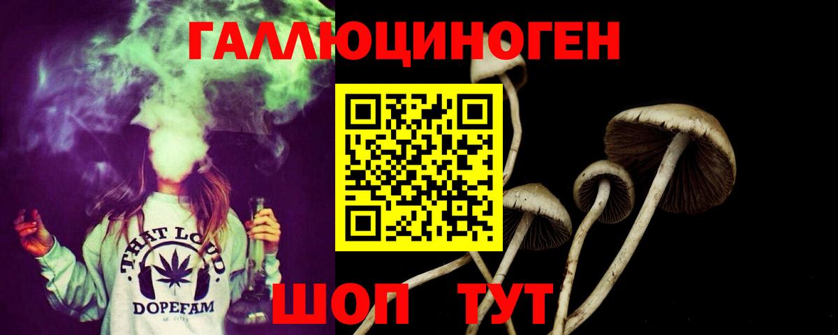 Галлюциногенные грибы Cubensis Чита